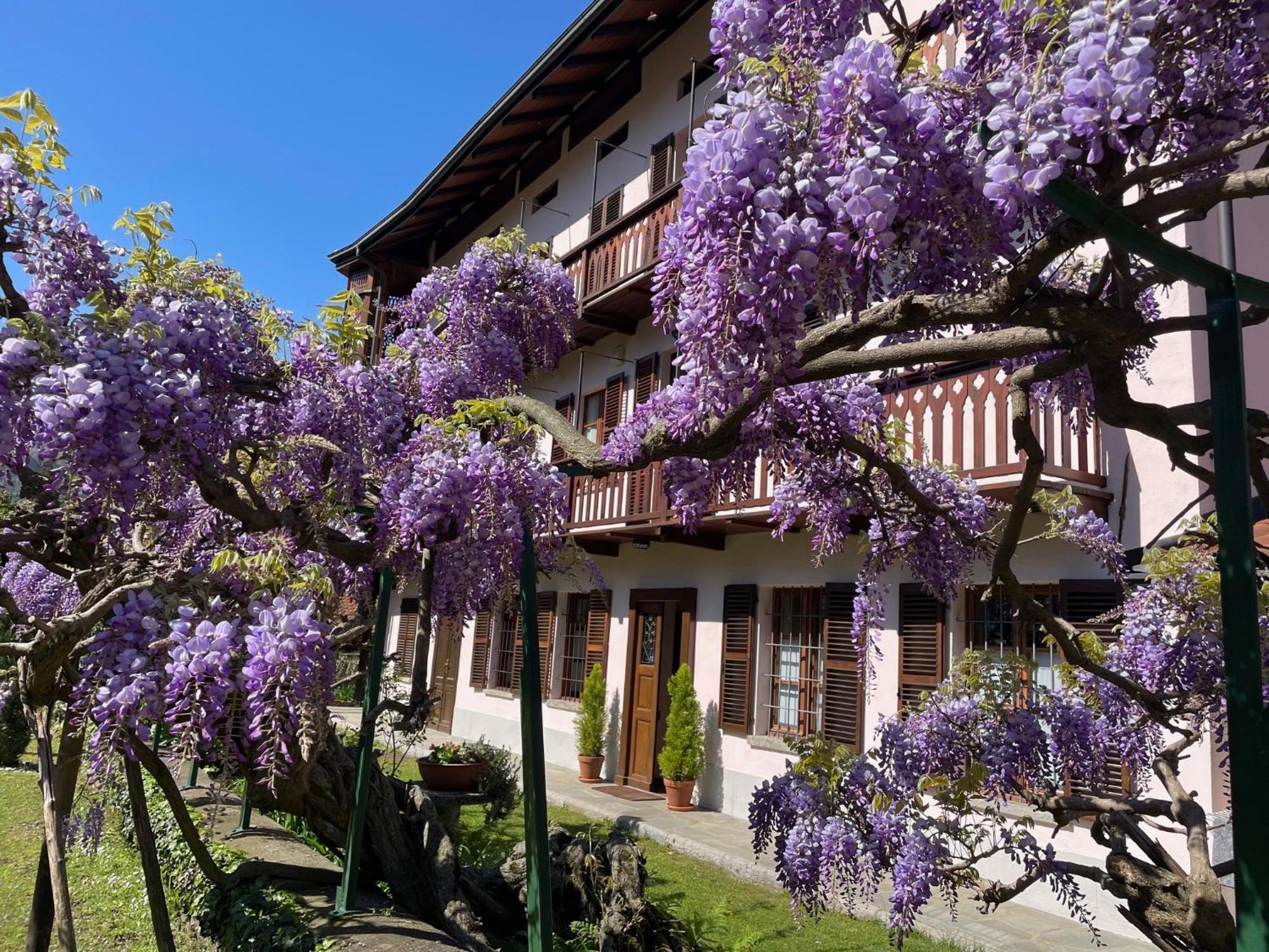 Dimora Fiorita Senior My Holiday Home Varallo Luaran gambar
