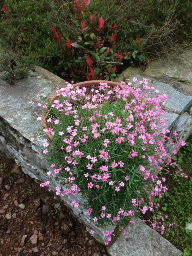 Dimora Fiorita Senior My Holiday Home Varallo Luaran gambar